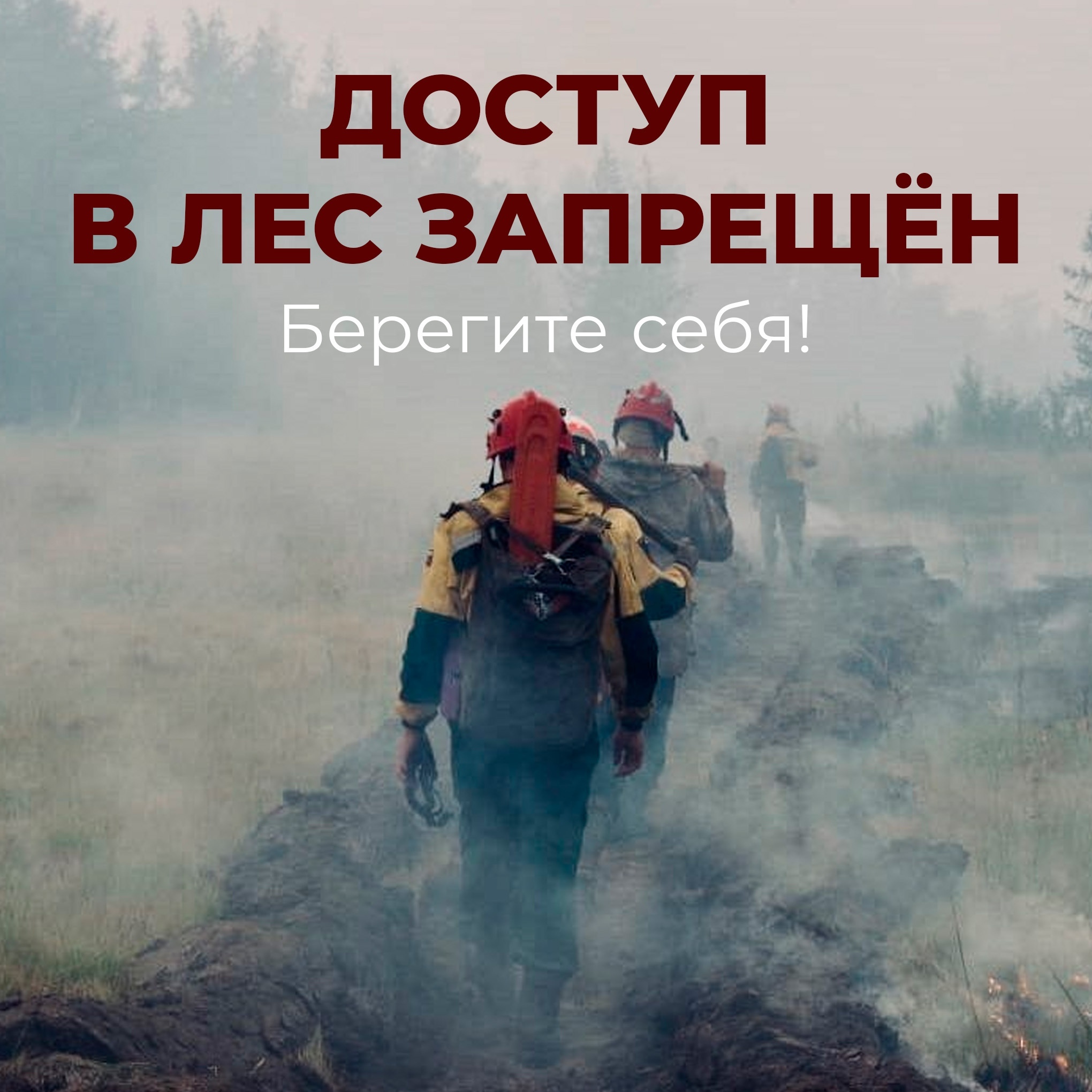 ️В Бурятии полностью запретили посещение лесов.