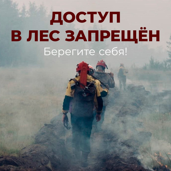 ️В Бурятии полностью запретили посещение лесов. ️В Бурятии полностью запретили посещение лесов.